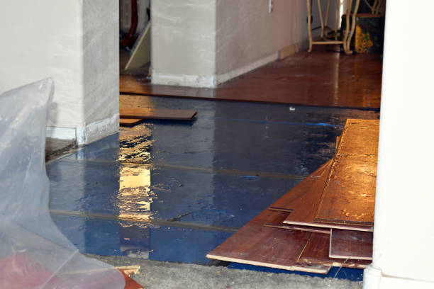 Professional Emergency Water Damage Restoration technician working in Goodyear, AZ